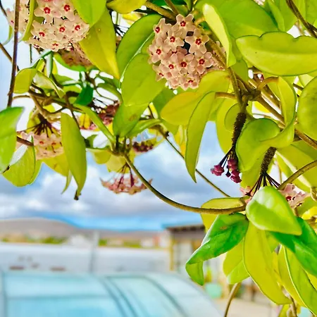 Casa Maida Lägenhet