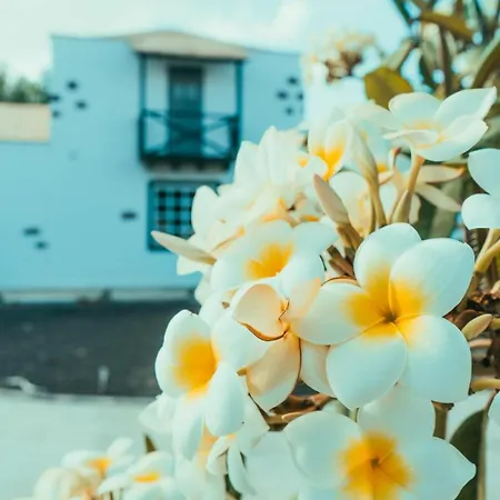 Casa Maida Appartement