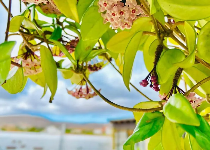 Casa Maida アパート