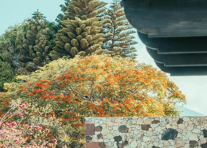 アパート Casa Maida