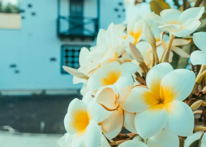 Casa Maida アパート